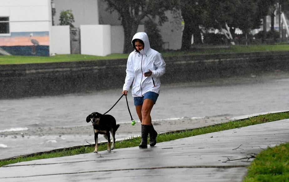 En algunos puntos de la zona de impacto el nivel del mar puede llegar a crecer hasta 16 pies (4,8 metros), según el NHC. Además está descargando lluvias abundantes en la mayor parte del estado y tornados en zonas aledañas a Miami, donde dos personas tuvieron que ser hospitalizadas.