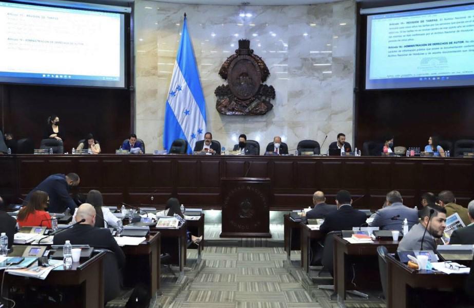 Luis Redondo y Junta Directiva violentan la Constitución al impedir que el CN se reúna