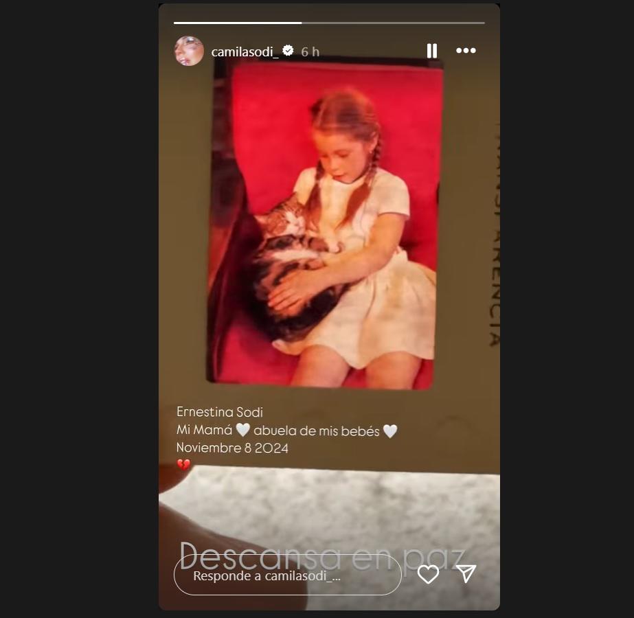 Camila Sodi confirmó la muerte de su madre con esta historia en Instagram.