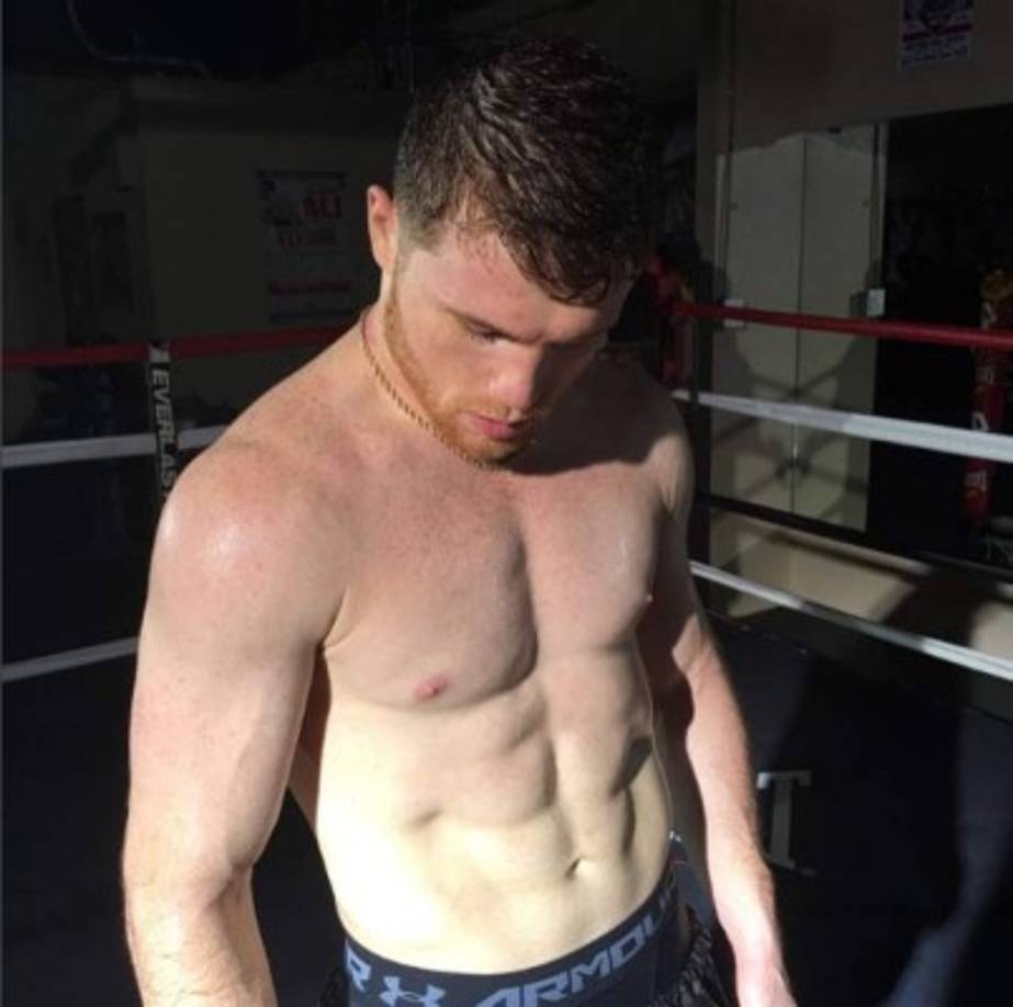 Además de ser sexi, Álvarez ha sido campeón del WBC y de The Ring del peso mediano. También ha sido campeón de WBA, WBC, WBO y The Ring del peso superwélter. Al parecer su tez blanca, su carisma y cuerpo atlético tiene encantada a Shannon.