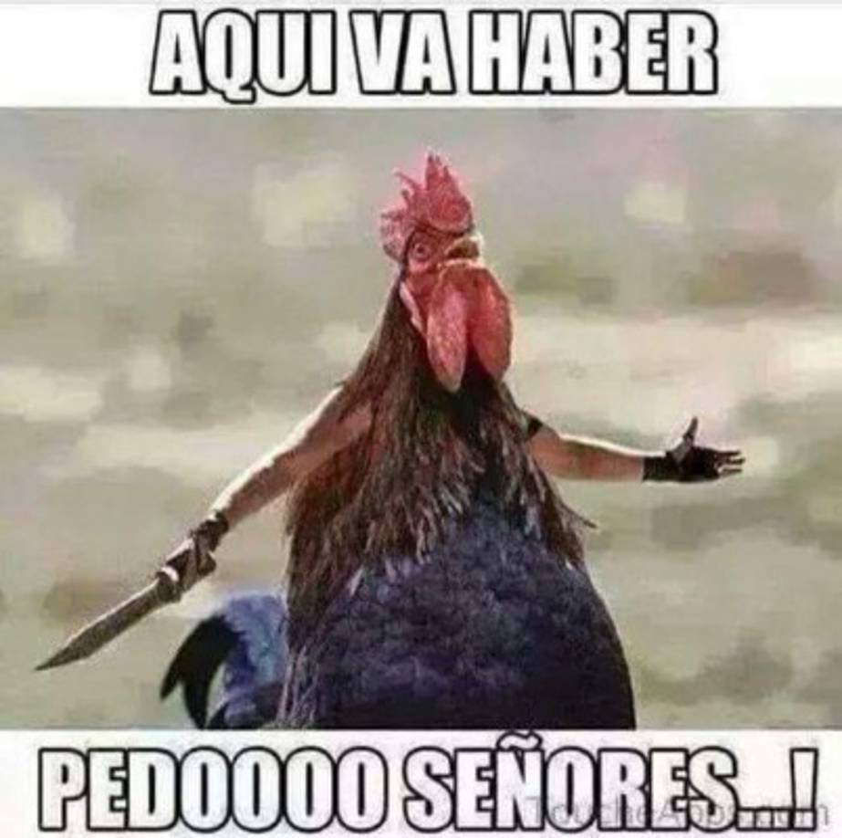 Los memes no se hicieron esperar.