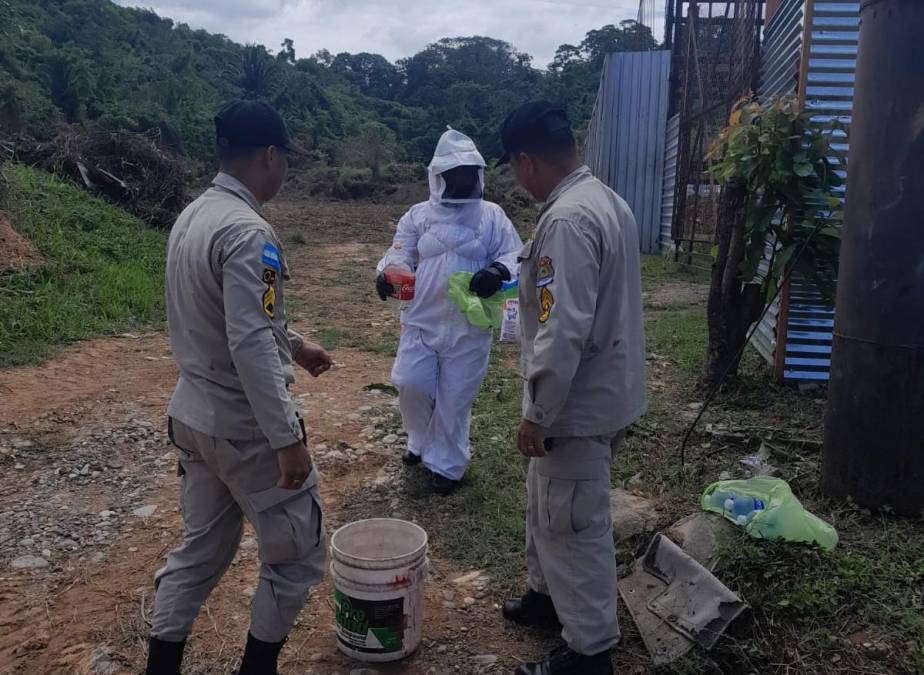 Se trata de Víctor Manuel Rodríguez, quien falleció en un centro médico del departamento de Atlántida, en el Caribe hondureño, debido a las graves picaduras, según el escueto informe sobre el caso.