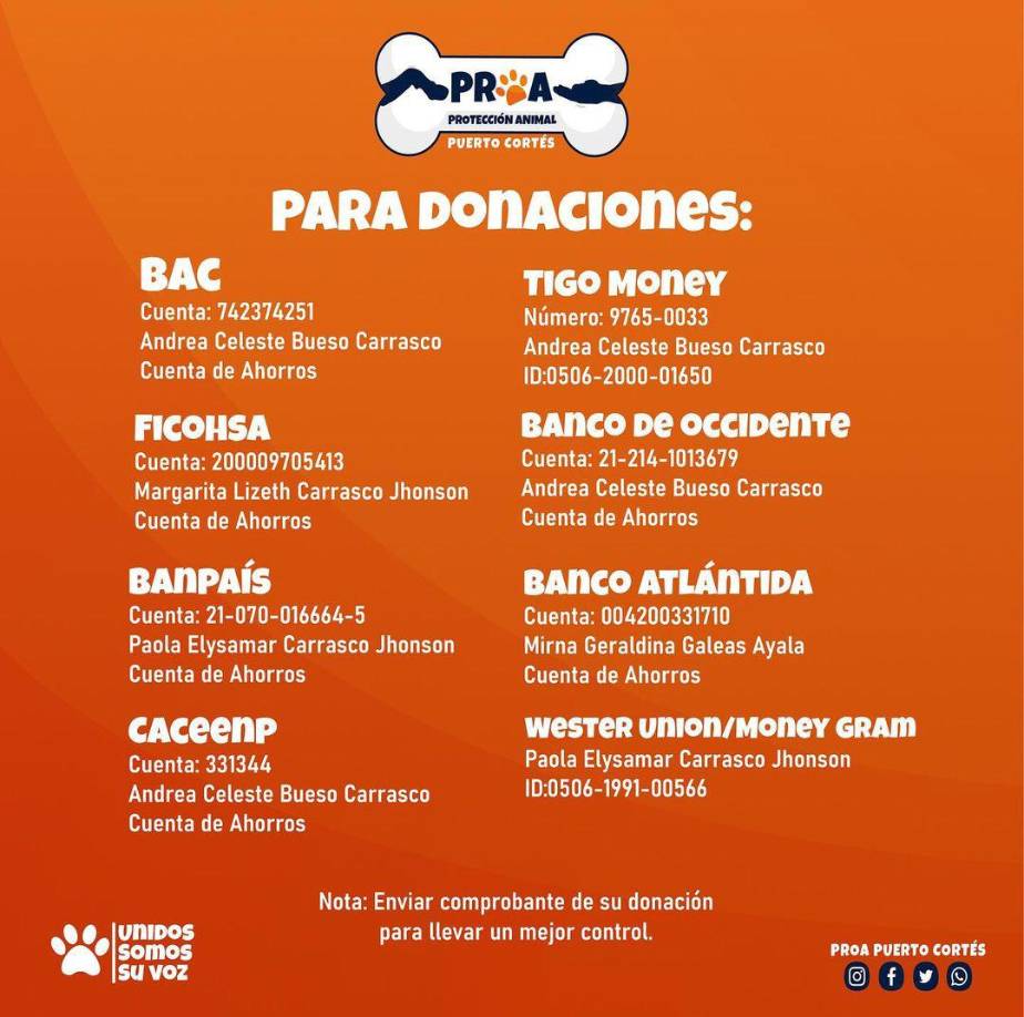 “Nos entristece la situación, porque de verdad necesitamos ayuda económica, no podemos comprar medicinas, ni ir a la veterinaria porque ya les debemos mucho, eso quiere decir que si tenemos una emergencia; estamos solos”, expresan sus dirigentes. Usted puede hacer sus donaciones a las cuentas bancarias que se muestran en la imagen.