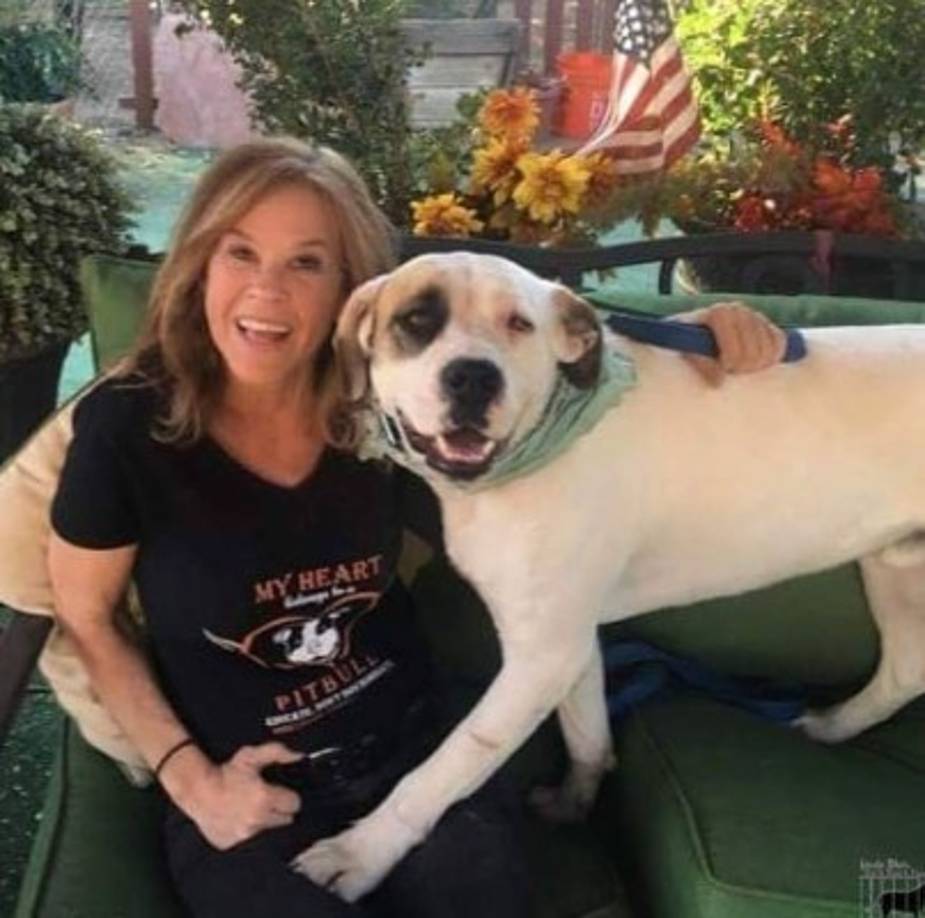 'Estoy muy orgullosa de mi organización sin fines de lucro, Linda Blair Worldheart Foundation, que encuentra hogares para perros. Simon Cowell dona $ 50,000 al año, por lo que estamos muy agradecidos. Confiamos en las donaciones para que sigamos adelante.', dijo Blair y agregó 'A pesar de la fama y la atención global que he tenido, he regresado a mi primer amor, cuidando a los animales. Ciertamente no fue la ruta más directa, ¡sin embargo, llegué aquí! He encontrado mi verdadera pasión en la vida '.<br/>
