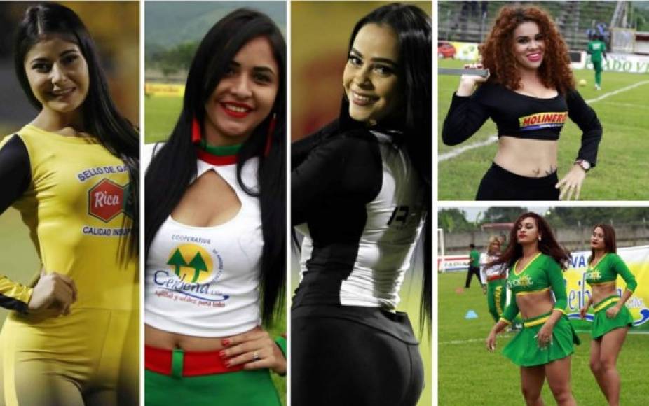 Estas son las bellezas que adornaron la jornada 18 y última del Torneo Apertura 2017-2018 de la Liga Nacional de Honduras.