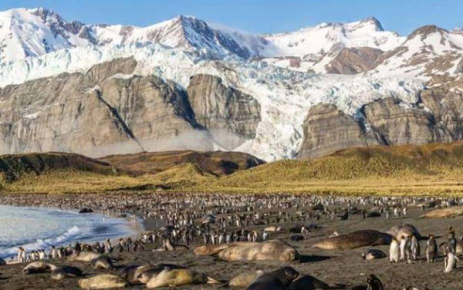 La península es uno de los lugares de más rápido calentamiento en la Tierra, registrando una temperatura récord de 20,75 grados Celsius el 9 de febrero.