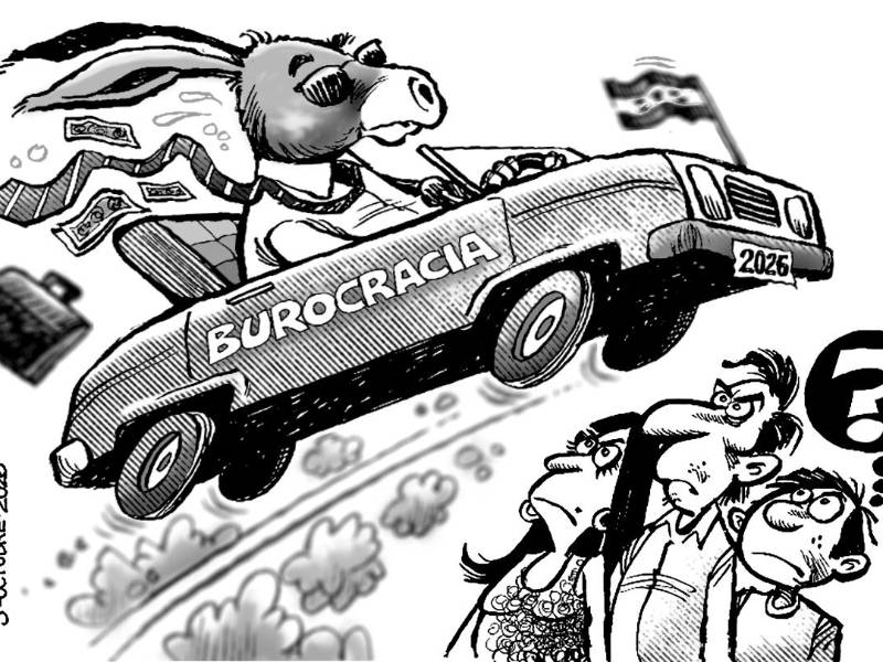 ¡Feliz viaje, criaturitas!