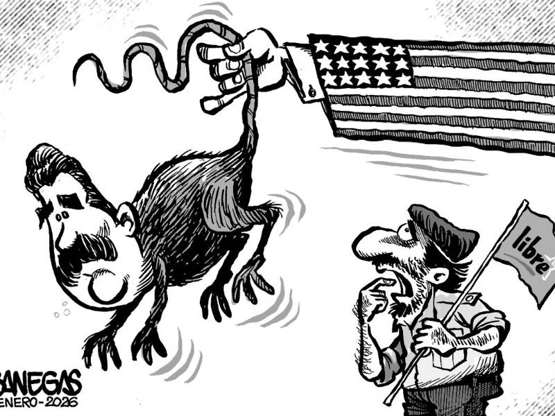 El compañero Nicolás