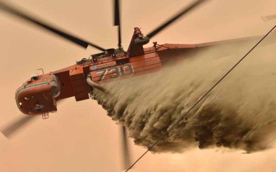 En el estado de Australia Meridional, alcanzado en los últimos días por la ola de calor, 1.500 bomberos combatieron las llamas, que destruyeron más de 40,000 hectáreas.