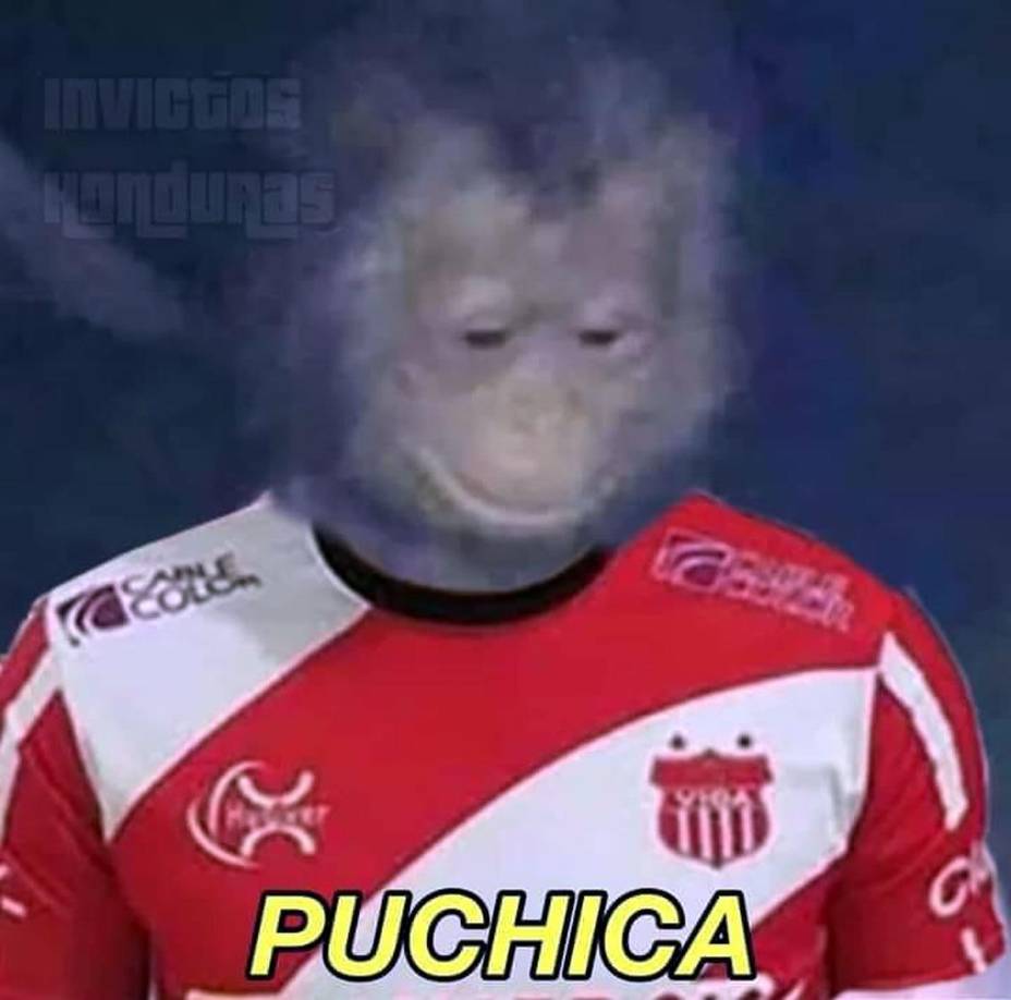Los memes destrozan a Motagua y a Vida tras quedar fuera de la final ante Real España y Olimpia