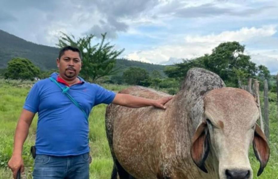 Alberto Perdomo García desapareció a mediados de julio de 2024 en Jesús de Otoro, Intibucá.