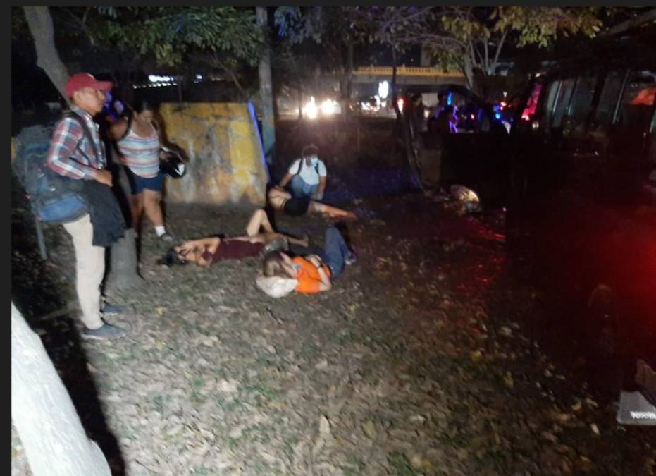 Rapidito se estrella contra un árbol en San Pedro Sula