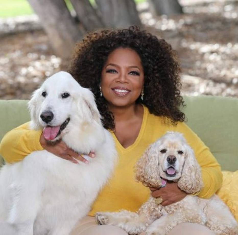 La estrella de la televisión estadounidense Oprah Winfrey, siempre ha dicho que nunca se planteó el hecho de tener hijos. Oprah se ha volcado en causas humanitarias relacionadas con la infancia, como la Escuela para niñas que tiene en Sudáfrica. 'Ahora tengo 152 hijas' ha declarado.