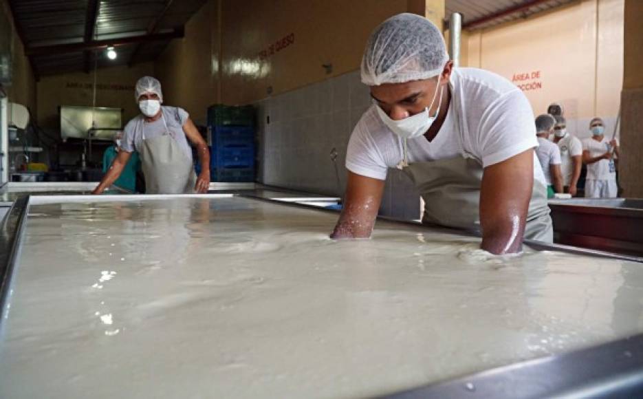 6. Producción de leche fue elevada, pero dejó pérdidas<br/><br/>El sector ganadero nacional registró una sobreproducción de 30%, unos 600,00 litros de leche adicionales por día; sin embargo, no tener un mercado seguro para colocar ese excedente generó fuertes pérdidas para los pequeños ganaderos, así lo informó Héctor Ferreira, presidente de la Cámara Hondureña de la Leche (Cahle). <br/>A nivel nacional se registraron, en promedio una producción de dos millones de litros de leche diarios, cifra que luego aumentó a 2.6 millones de litros. <br/><br/>La sobreoferta de leche causó que las plantas artesanales pagaran a los ganaderos un 50% menos del precio promedio que se registró durante los meses de verano, detalló Ferreira.