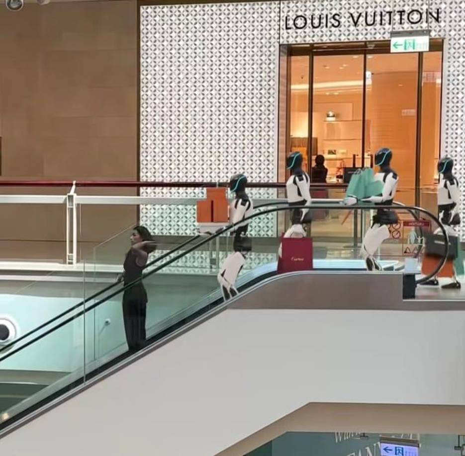 El clip muestra a una mujer paseando tranquilamente por un centro comercial, seguida de cuatro robots humanoides tipo Tesla que cargaban sus bolsas de marcas de lujo. 