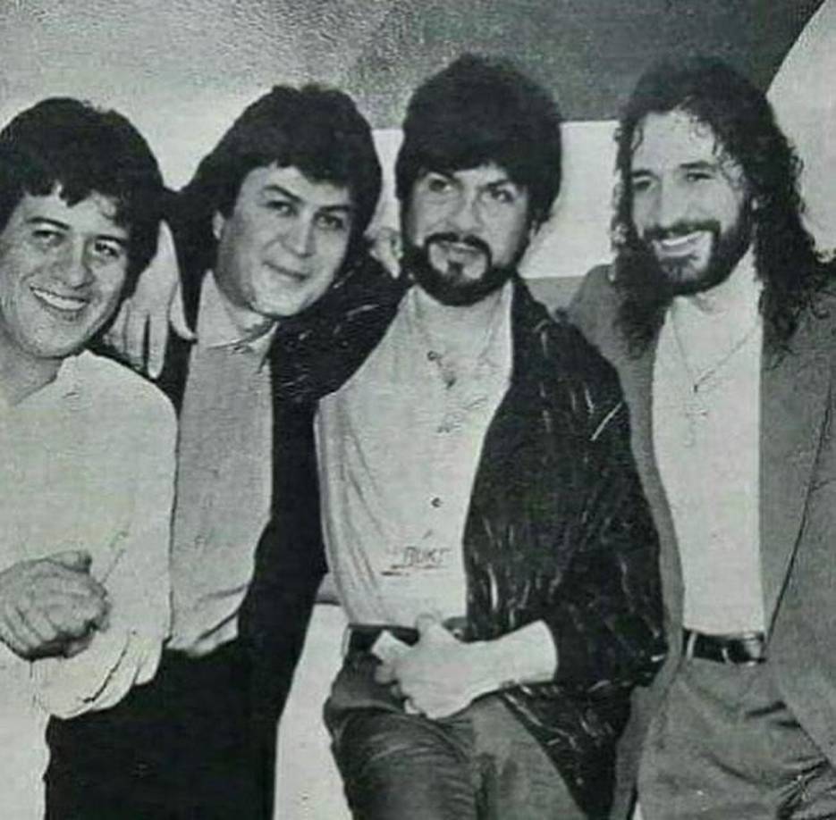 Los nombres de los integrantes originales del grupo Los Bukis son: Marco Antonio Solís: Voz principal y guitarra;Joel Solís: Guitarra y segunda voz;Jorge de Ávila: Batería; Carlos Enrique “Kike” González: Bajo.Su primer gran éxito fue la canción “Falso Amor” en 1975, que los catapultó a la fama en México y América Latina.