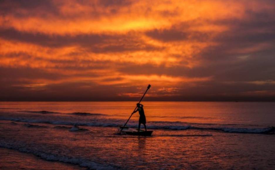 Palestina. Remando en el ocaso. Un pescador palestino rema su bote al atardecer frente a la costa de la ciudad de Gaza.