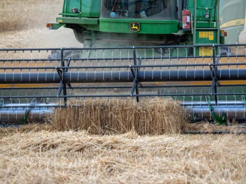 La producción de granos para cereales se vio mermada durante el ataque ruso a Ucrania.