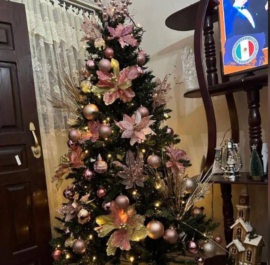 Salazar finalizó la entrevista invitando a los hondureños a celebrar estas fechas en familia y pidiendo a los padres que no le compren pólvora a sus hijos, ya que considera que es peligrosa. “Espero que todos tengan una feliz Navidad y disfruten con sus familias”, agregó.