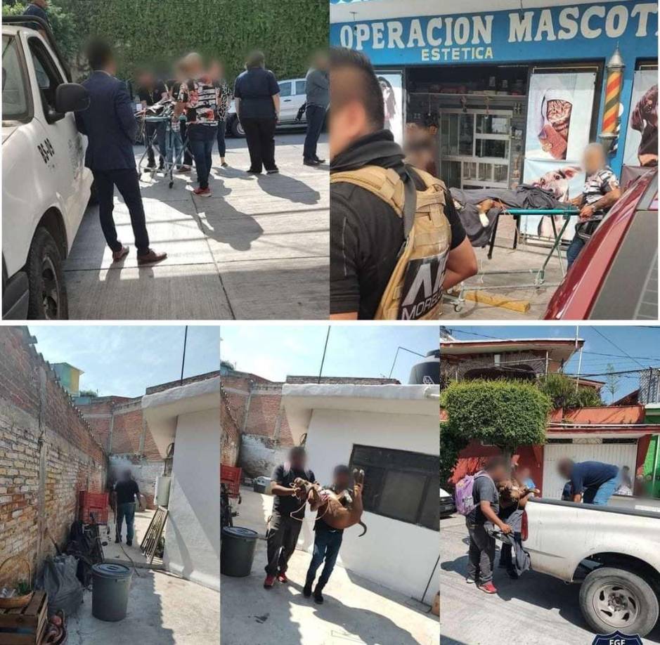 “Mi hijo está en estado crítico, me lo desfiguraron, su vida está en riesgo y a mi me está pesando porque soy su padre, yo no estuve presente para defenderlo”, realtó a medios Miguel Ángel Cerda, padre del pequeño.