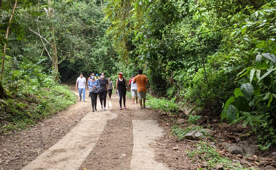 15 minutos de caminata pueden ser esenciales para la salud
