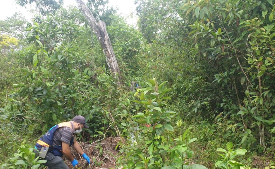 Paramédicos llegaron a la zona, pero ya estaba sin vida.