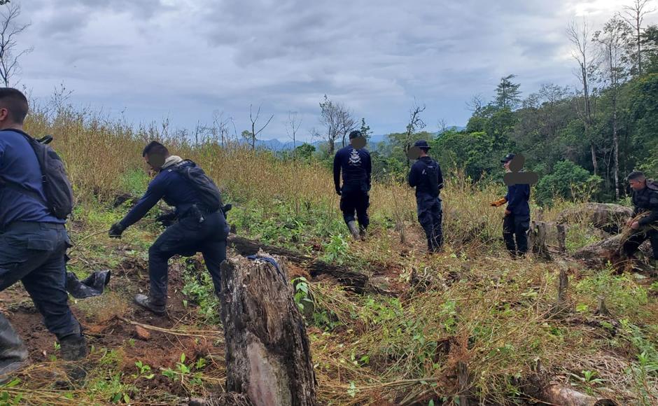 Una vez realizada la erradicacion y destrucción se tomaron muestras de las plantaciones y químicos encontrados en los narcolaboratorios y semilleros para su análisis forense.