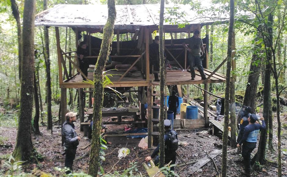 Ubican cinco plantaciones de hoja de coca y dos narcolaboratorios en Colón