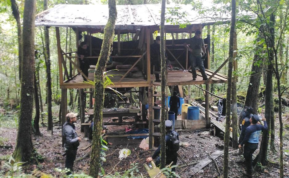 Ubican cinco plantaciones de hoja de coca y dos narcolaboratorios en Colón