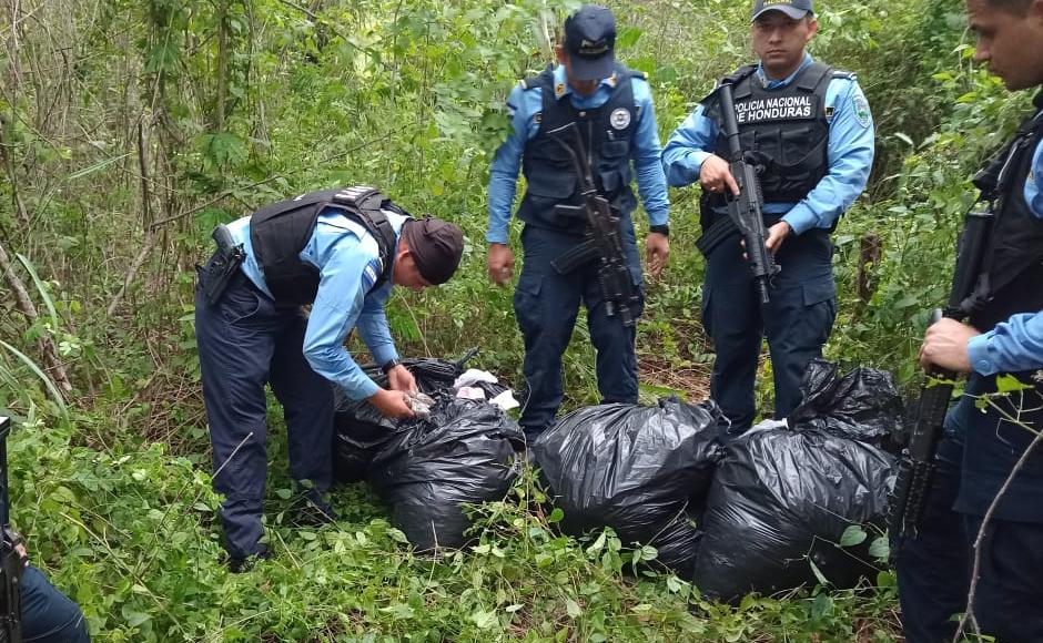 La droga se encontraba oculta en una sector montañoso donde delinque la organización Los Olanchanos.