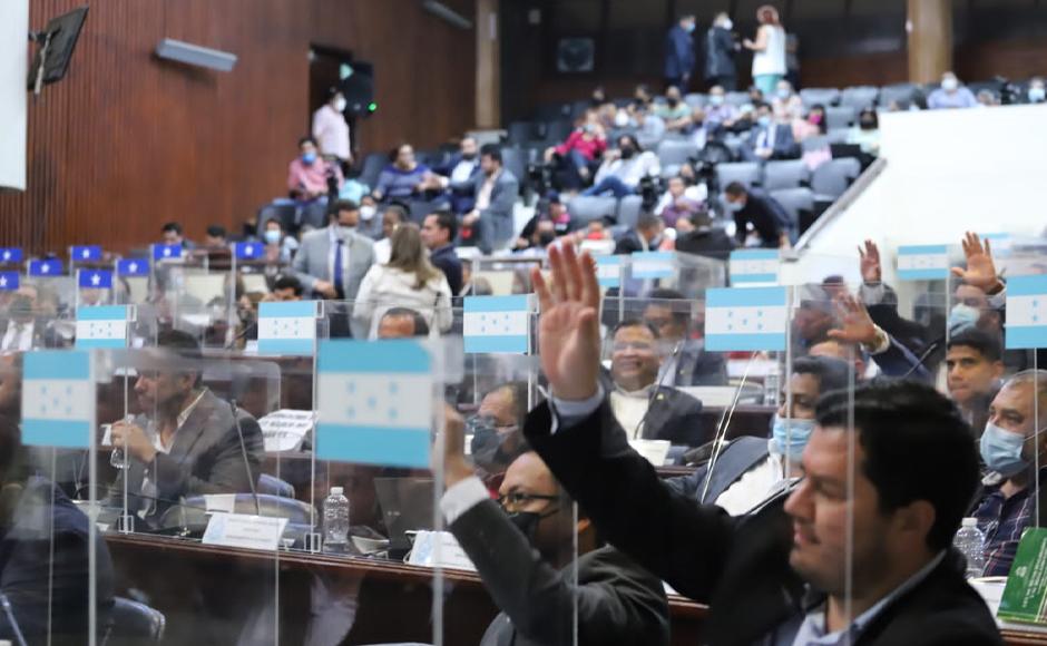 Aprueban amnistía tributaria municipal con vigencia hasta el 31 de julio