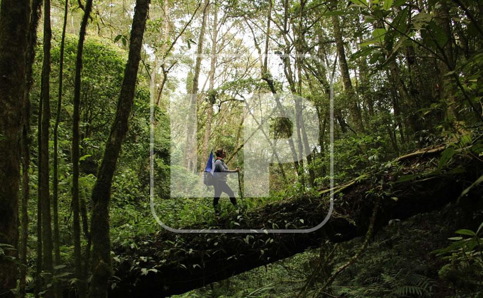 Occidente: Encantos naturales y arqueología que atrapan