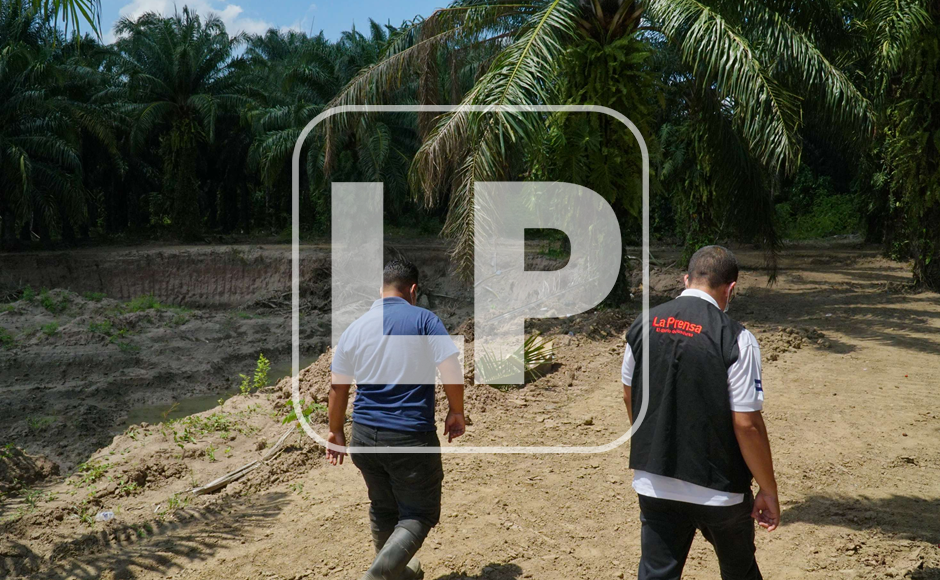 Por falta de apoyo económico, los productores no han reactivado plantaciones de banano, palma aceitera, caña de azúcar, cacao y otros rubros.