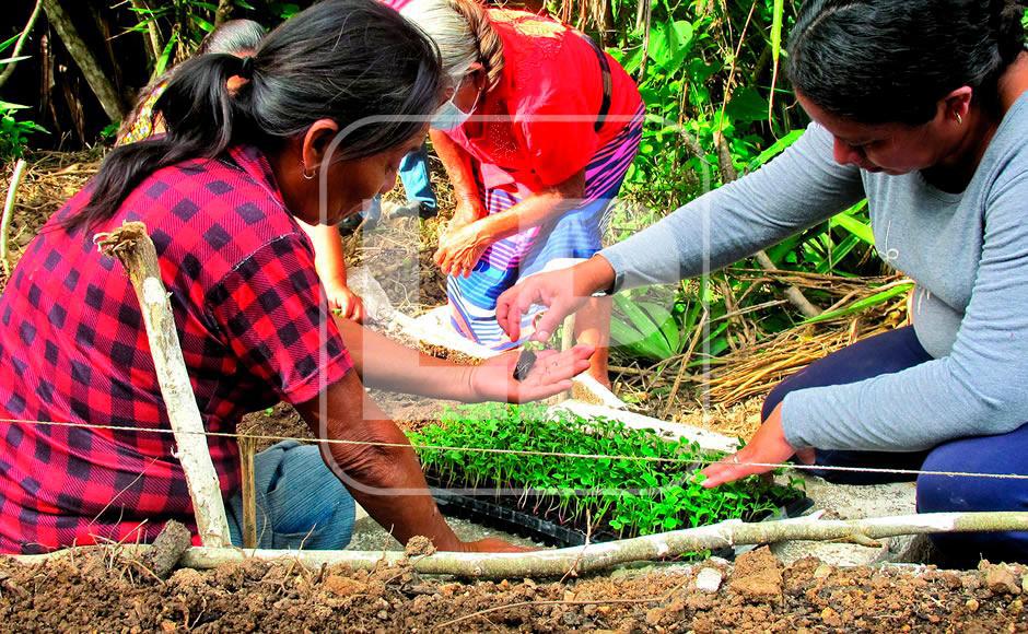 Mujeres hondureñas se empoderan y se suman a labores del campo (Fotos)