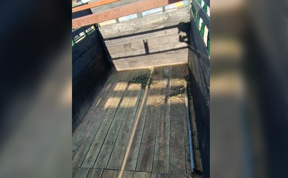 La aparente marihuana iba escondida en la plataforma de madera de este camión.
