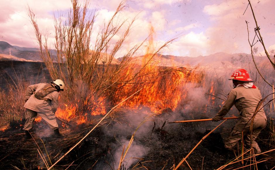 Honduras: el año 2021 cerró con 24 personas muertas en incendios