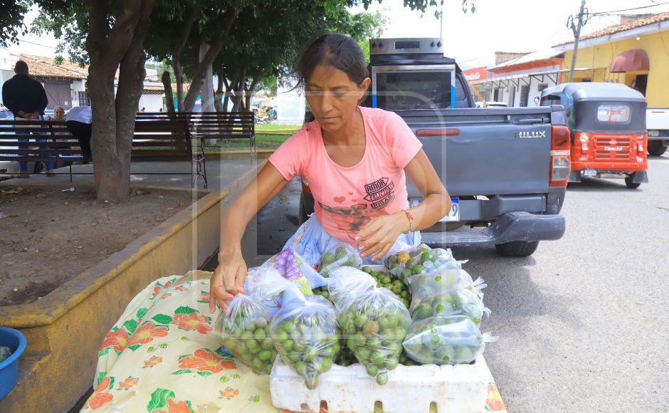 Familias buscan la manera de emprender para salir adelante en Nueva Ocotepeque.