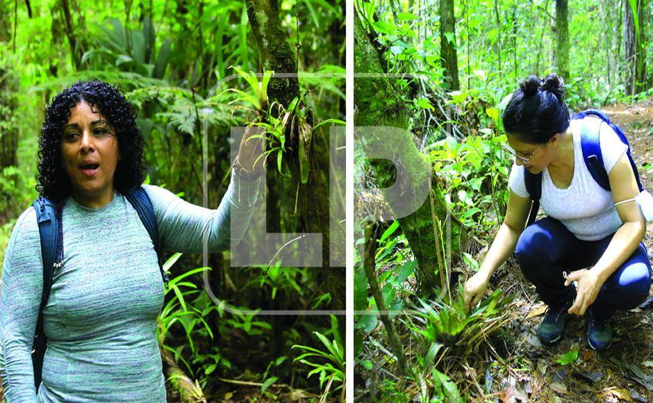 $!La Guarda Sindy Maldonado y la Bióloga Sandra Sánchez velan por el Parque.