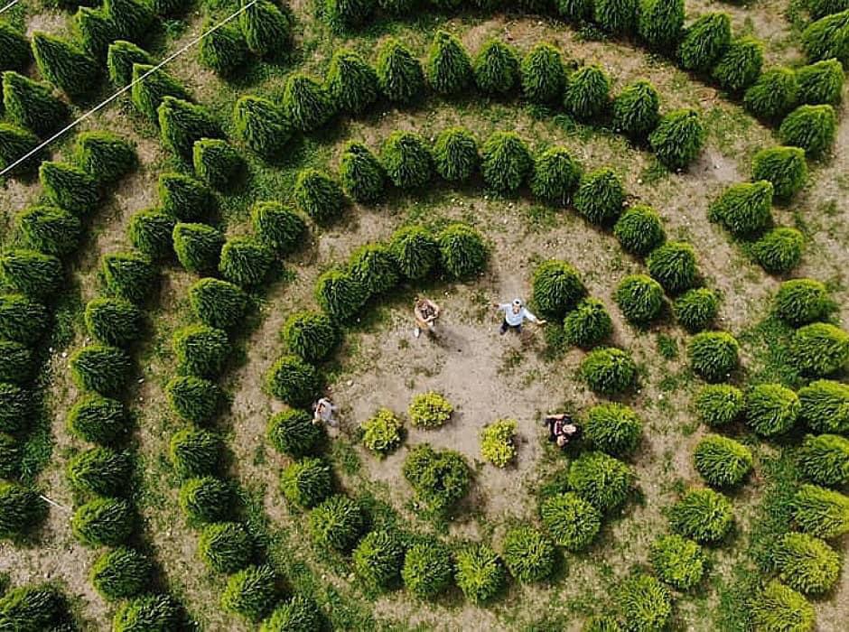 El atractivo turístico pronto dará apertura a nuevas áreas que van desde un complejo de cabañas, pesca deportiva, cafetería hasta un salón para eventos.