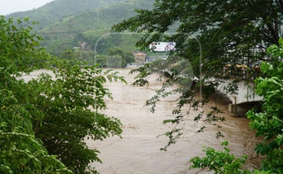 El Valle de Sula se mantiene en zozobra por las inundaciones derivadas de las crecidas de los ríos Chamelecón y Ulúa. Foto José Cantarero