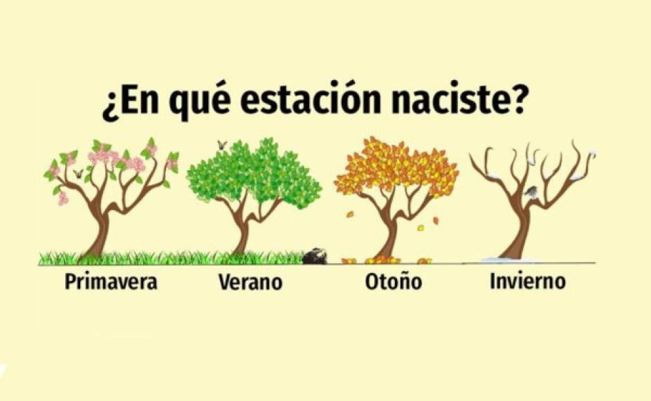 ¿En qué estación del año naciste?, descubre algo único de tu ser realizando este test de personalidad