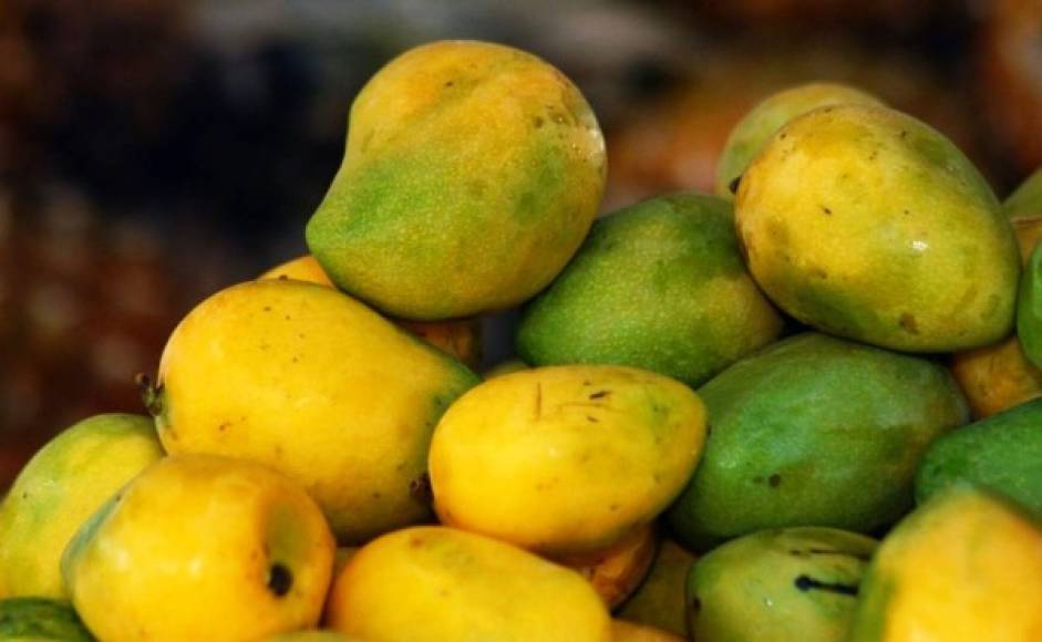 1. Los mangos son ricos en aminoácidos, vitaminas C y E, flavonoides, beta-caroteno, niacina, calcio, hierro, magnesio y el potasio. Es conocido que la fruta contiene más de 20 vitaminas y minerales.