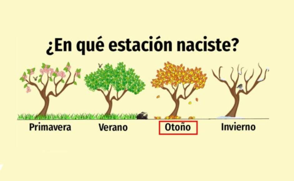 Otoño:<br/><br/>Si naciste en esta estación te concede un carácter un tanto irritable, pero no eres propenso a la depresión. Te niegas a experimentar esos trastornos mentales porque no te consideras una persona débil.