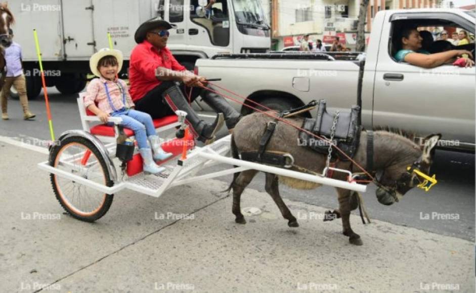 Este pony causó sensación entre los ciudadanos que observaron el desfile hípico.