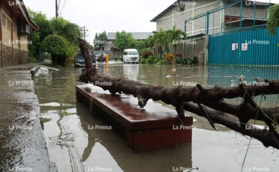 El nivel de la inundación se pudo apreciar hasta la altura de unas bancas.