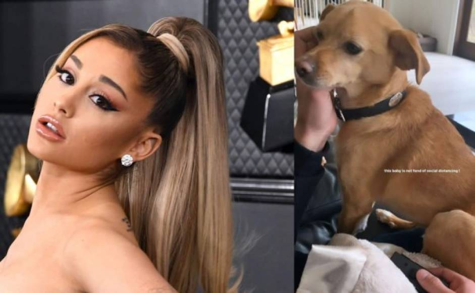 Ariana Grande<br/>La cantante estadounidense ha pasado en casa en compañía de sus perros. 'Es muy egoísta y peligroso que se tomen lo que está pasando a la ligera. Esta mentalidad de 'a nosotros no va a pasarnos nada porque somos jóvenes' supone un riesgo para los que no son tan jóvenes o tienen problemas de salud…. Tienen que empezar a pensar en los demás. Desde ya', concienció en sus redes.<br/>