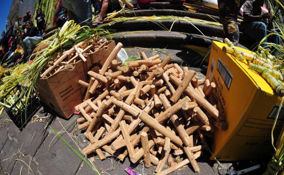 Hondureños compran palmas para el Domingo de Ramos