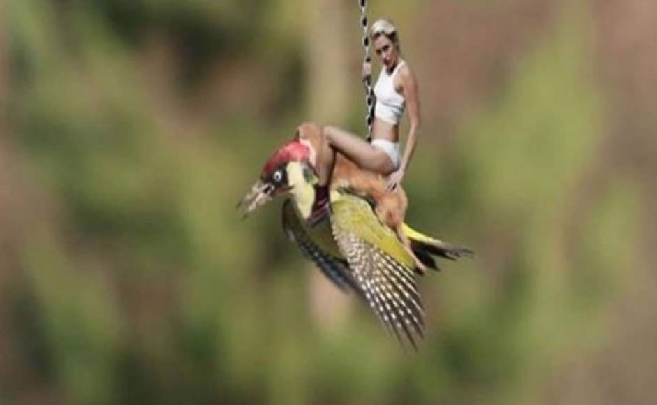La cantante Miley Cyrus, protagonista de uno de los memes del pájaro.