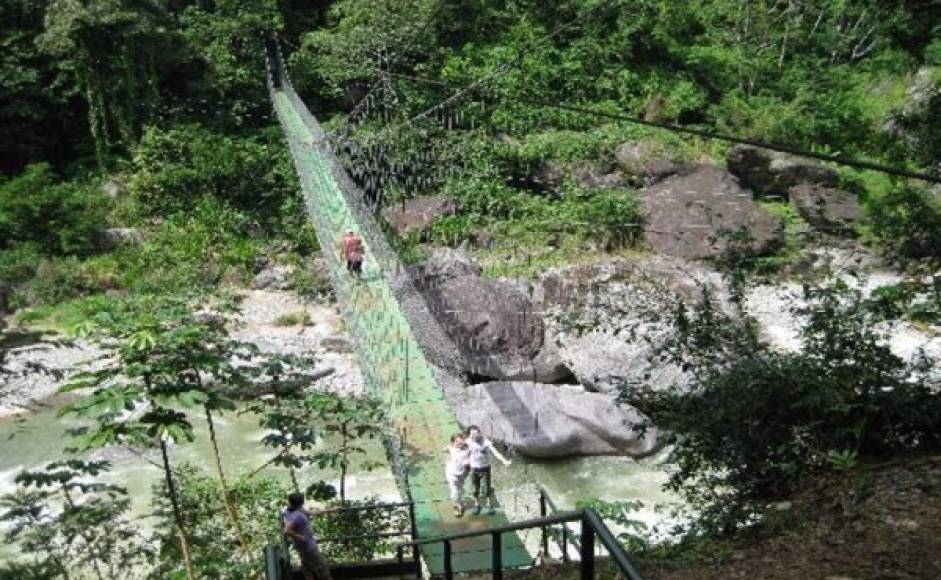 Pico Bonito es uno de los mejores lugares a visitar en la zona norte hondureña. Foto: Tripadvisor Australia.