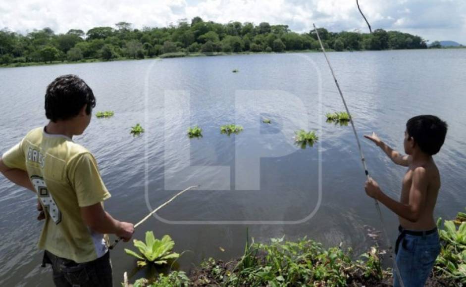Foto del archivo de La Prensa: niños pescaban en la laguna de Jucutuma.